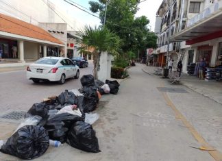 Presenta Redesol recurso de inconformidad ante instancia judicial; busca recuperar concesión de servicio de recoja de basura en zona turística de Playa del Carmen y Puerto Aventuras