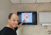 El procesamiento central auditivo, una de las tareas fundamentales del cerebro