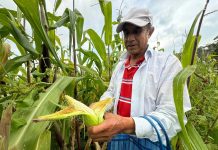 Independencia y soberanía. ¿Y la autosuficiencia alimentaria?