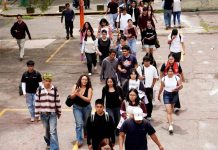 Baja en una década la cifra de ‘ninis’ en México