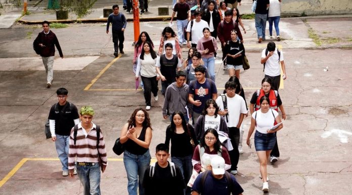 Baja en una década la cifra de ‘ninis’ en México