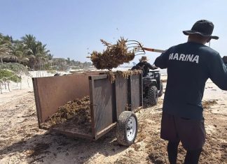 Ambientalistas y empresarios se unen para fortalecer la imagen y sustentabilidad de Tulum