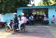 Dengue y virus respiratorios, reto con el regreso a clases