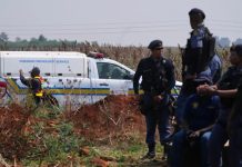 ¿Un asesino serial en Sudáfrica? Crece temor tras hallazgo de otro cuerpo