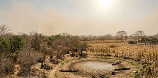 Falta de huracanes amenaza con intensificar sequía en Quintana Roo