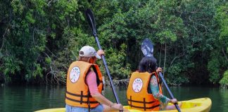 Generación X lidera el turismo en el Caribe mexicano en 2026