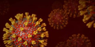 Propagación del virus del Nilo Occidental preocupa a Italia
