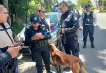 Operativo de búsqueda se despliega en Chetumal y Calderitas