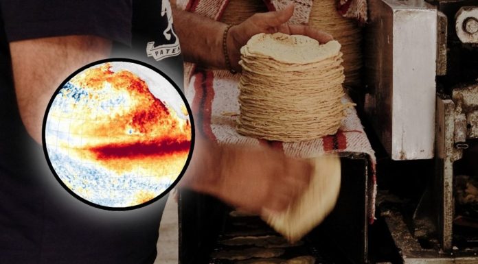 ¿Subirá la tortilla por El Niño? El fenómeno meteorológico podría disparar los precios de estos alimentos
