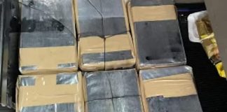 Arrestan a exfuncionaria de Tecate por cruzar metanfetaminas a Estados Unidos