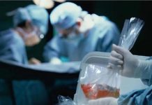 Sueldo al 100% por donar órganos: todo lo que tienes que saber sobre esta baja