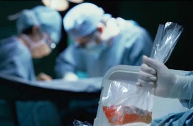 Sueldo al 100% por donar órganos: todo lo que tienes que saber sobre esta baja