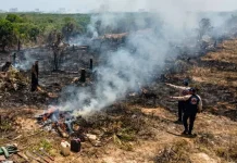 Alerta por quemas ilegales que provocan incendios forestales