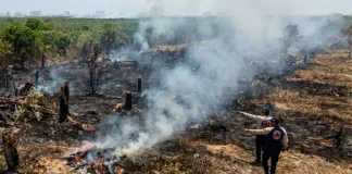 Alerta por quemas ilegales que provocan incendios forestales