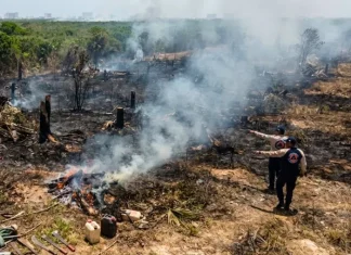 Alerta por quemas ilegales que provocan incendios forestales