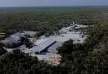 Calica quedará como zona de restauración en Programa de Manejo: Conanp