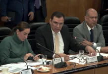 Sólo 40% de las empresas que reportaron ingresos pagaron impuestos este año: SHCP