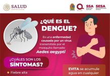 Ocupa Q. Roo el sexto lugar nacional en casos de dengue con 361 casos, informa titular de Salud estatal; continúan jornadas de fumigación