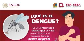 Ocupa Q. Roo el sexto lugar nacional en casos de dengue con 361 casos, informa titular de Salud estatal; continúan jornadas de fumigación