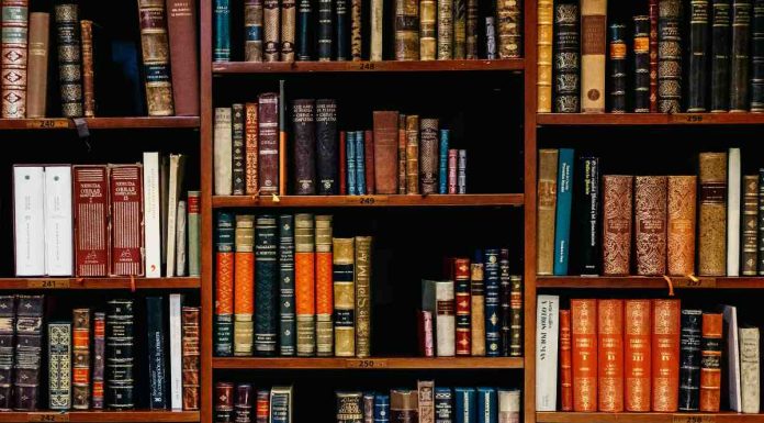 Bibliotecas: ¿oasis urbanos?