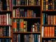 Bibliotecas: ¿oasis urbanos?