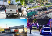 Sinaloa: entre la inseguridad y la apuesta industrial