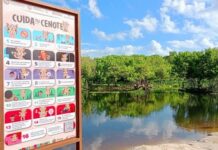 Viviendas de la Colosio pendientes de conectarse a la red de drenaje ponen en riesgo calidad del agua del cenote de Punta Esmeralda y de otros cuerpos de agua