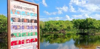 Viviendas de la Colosio pendientes de conectarse a la red de drenaje ponen en riesgo calidad del agua del cenote de Punta Esmeralda y de otros cuerpos de agua