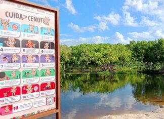 Viviendas de la Colosio pendientes de conectarse a la red de drenaje ponen en riesgo calidad del agua del cenote de Punta Esmeralda y de otros cuerpos de agua