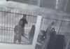 Captan en video asalto a una pareja en la Supermanzana 15 de Cancún