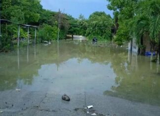 Confirma secretario general del ayuntamiento de Bacalar que 100 familias resultaron damnificadas por inundaciones; revisan puntos críticos para evitar nuevas afectaciones por lluvias