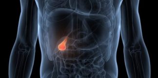 ¿Qué le pasa a tu cuerpo cuando ya no hay vesícula? Estos son los cambios que notarás