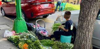 Trabajan 3.5 millones de niños en el país: Inegi