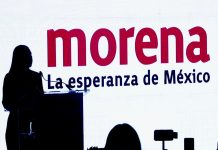 Las encuestas no democratizan