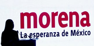 Las encuestas no democratizan