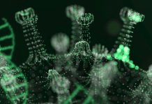 Ecología de los virus otoñales: cuáles son los más frecuentes y cómo interfieren entre sí