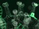 Ecología de los virus otoñales: cuáles son los más frecuentes y cómo interfieren entre sí