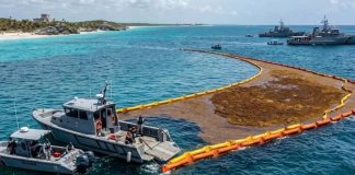Marina estrena barreras dinámicas para frenar el sargazo en Quintana Roo