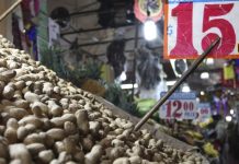 La ingesta de cacahuate ayuda al cerebro: estudio revela cómo y el consumo adecuado