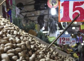 La ingesta de cacahuate ayuda al cerebro: estudio revela cómo y el consumo adecuado