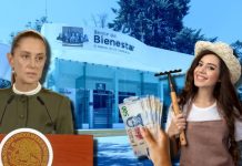 Sheinbaum asegura que APOYO de 6,450 pesos mensuales se otorgará a los beneficiarios de este PROGRAMA durante todo su gobierno