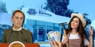 Sheinbaum asegura que APOYO de 6,450 pesos mensuales se otorgará a los beneficiarios de este PROGRAMA durante todo su gobierno