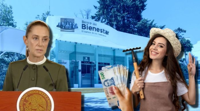 Sheinbaum asegura que APOYO de 6,450 pesos mensuales se otorgará a los beneficiarios de este PROGRAMA durante todo su gobierno