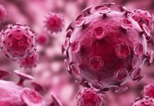Ni el tabaco ni el alcohol. El VPH, detrás del 50% de casos de cáncer de orofaringe