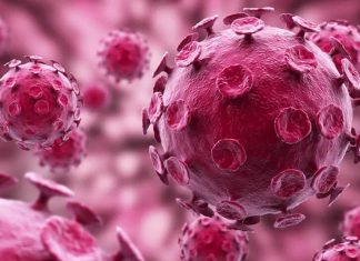 Ni el tabaco ni el alcohol. El VPH, detrás del 50% de casos de cáncer de orofaringe