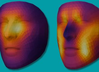 Todo está en tu cara: una única foto revela la edad biológica y la supervivencia al cáncer