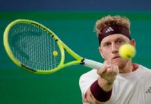 Davidovich, el quinto nombre de David Ferrer para las finales de la Copa Davis