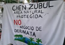 Buscan preservar las 40 hectáreas de Chen Zubul en Playa del Carmen, en medio de disputa por cuatro hectáreas