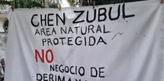 Buscan preservar las 40 hectáreas de Chen Zubul en Playa del Carmen, en medio de disputa por cuatro hectáreas