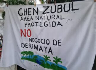Buscan preservar las 40 hectáreas de Chen Zubul en Playa del Carmen, en medio de disputa por cuatro hectáreas